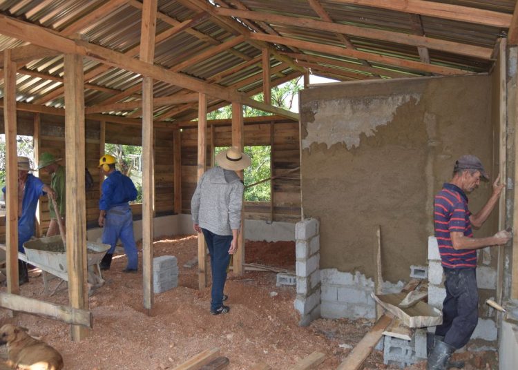 En Minas de Matahambre, brigadas de la Empresa de Acopio y Beneficio de Tabaco asumen la construcción de módulos de madera con núcleo rígido para damnificados / Foto: Januar Valdés Barrios / Periódico Guerrillero