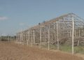 Respaldan forestales campaña tabacalera en Pinar del Río La provincia espera concluir el primer trimestre del año con alrededor de 5 000 casas recuperadas. Foto tomada del perfil de la Empresa de Acopio y Beneficio de Tabaco Pinar del Río