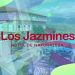 ¿Qué visitar en Pinar del Río? Guerrillero te invita a conocer el hotel Los Jazmines hotel los jasmines pinar del rio