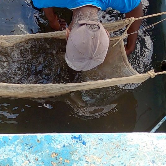 Pesca en Pinar del Rio