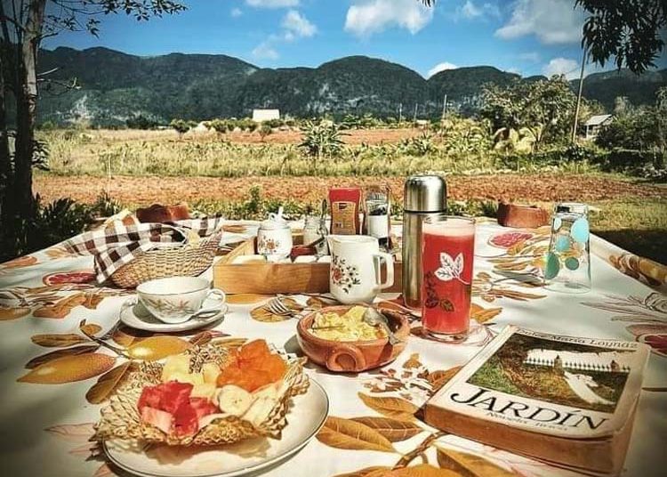 Arte y mogotes para lograr la excelencia de Viñales Arte y mogotes para lograr la excelencia de Viñales