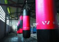 La finca de boxeo en Pinar del Río volverá a renacer La finca de boxeo en Pinar del Río volverá a renacer