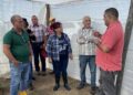 Chequean campaña de tabaco en Consolación del Sur Chequean campaña de tabaco en Consolación del Sur