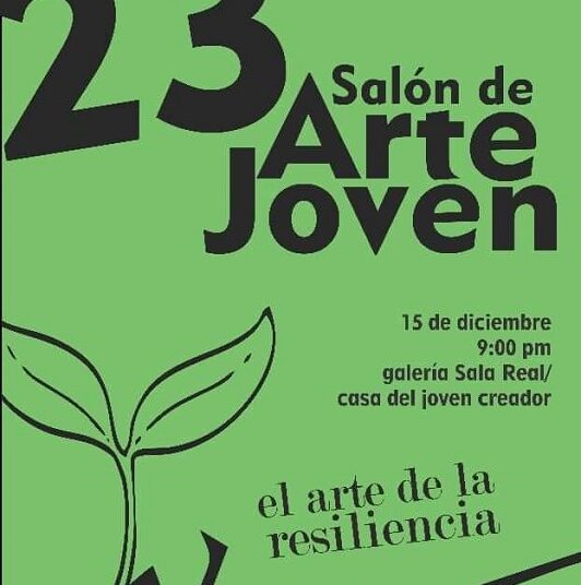 Inauguran hoy Salón de Arte Joven en Pinar del Río