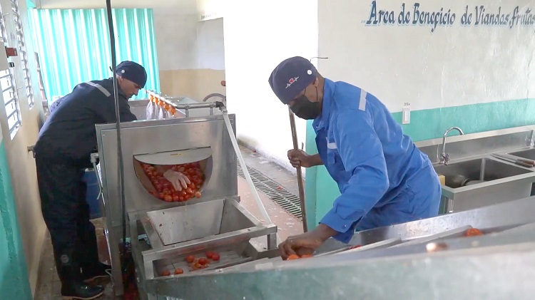 Las delicias del campo Minindustria Productos Campo 3