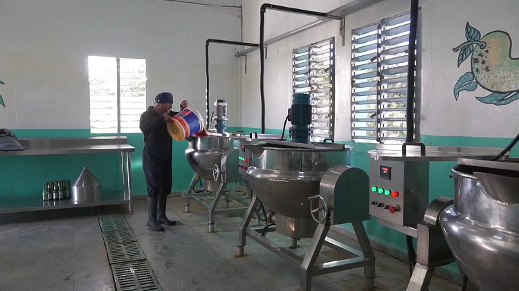 Las delicias del campo Minindustria Productos Campo 4