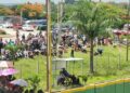 Pinar del Río: cuando la grada se repleta Pinar del Río: cuando la grada se repleta