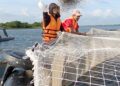 Presa La Juventud en Pinar del Río, más que agua Presa La Juventud en Pinar del Río, más que agua