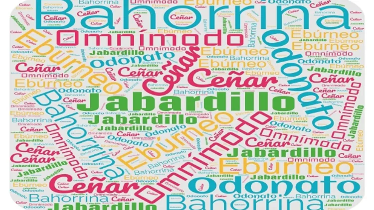 media docena de palabras recogidas en el diccionario de la rae y que quizas no conocias xix