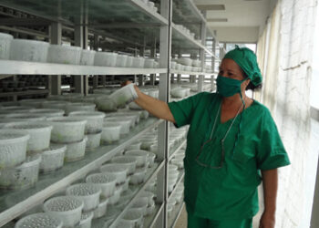 La mujer es eso, magia La mujer es eso, magia