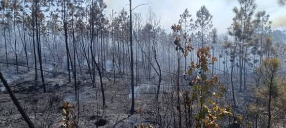 1 incendios forestales pinar del rio guerrillero 1