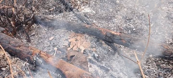 incendio pinar del rio el arenal 01