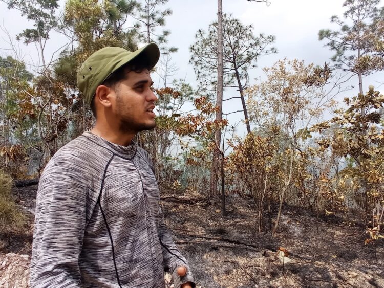incendio pinar del rio guerrillero