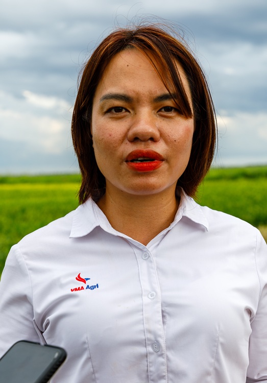 Vietnam arroz 4