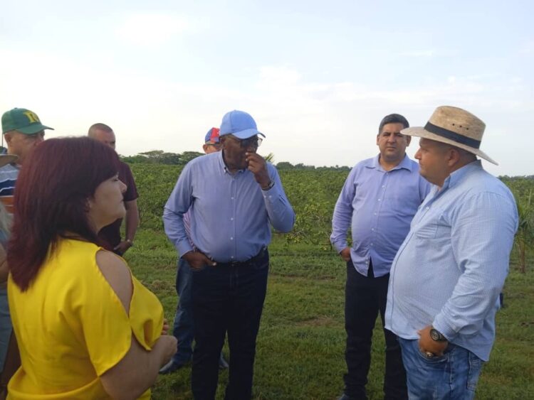 Visita Salvador Valdes Mesa 1 1