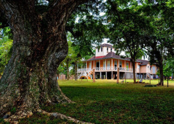 Birán es raíz y savia de la Revolución (+Fotos y Video) Birán es raíz y savia de la Revolución (+Fotos y Video)