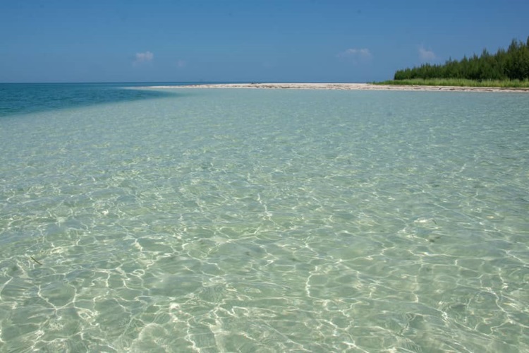 Cayo Jutias 1