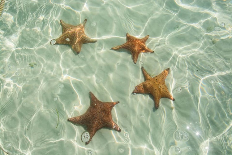 Cayo Jutias 2