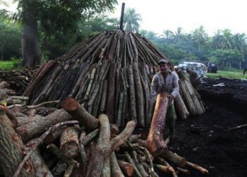 Retoman en Pinar del Río producción de carbón para la exportación