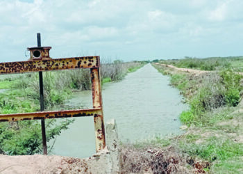 Cuando el agua no regresa a la tierra en Pinar del Río Cuando el agua no regresa a la tierra en Pinar del Río