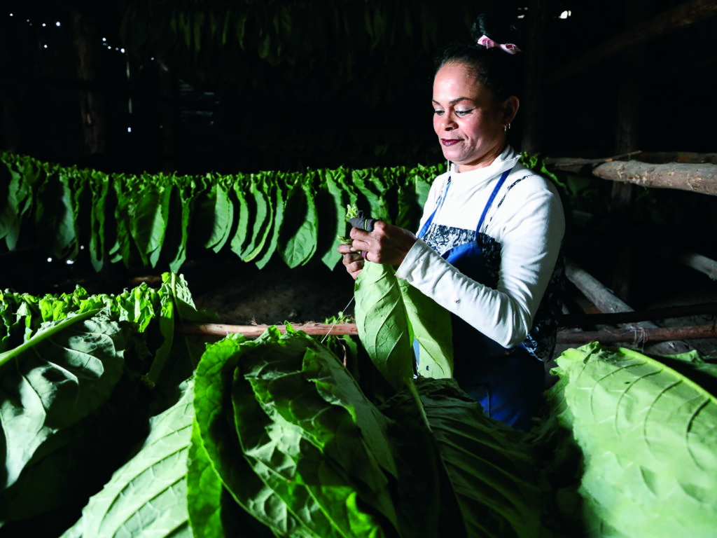 Mujer_ensartando_en_la_casa_de_cura
Foto: Jaliosky Ajete Rabeiro