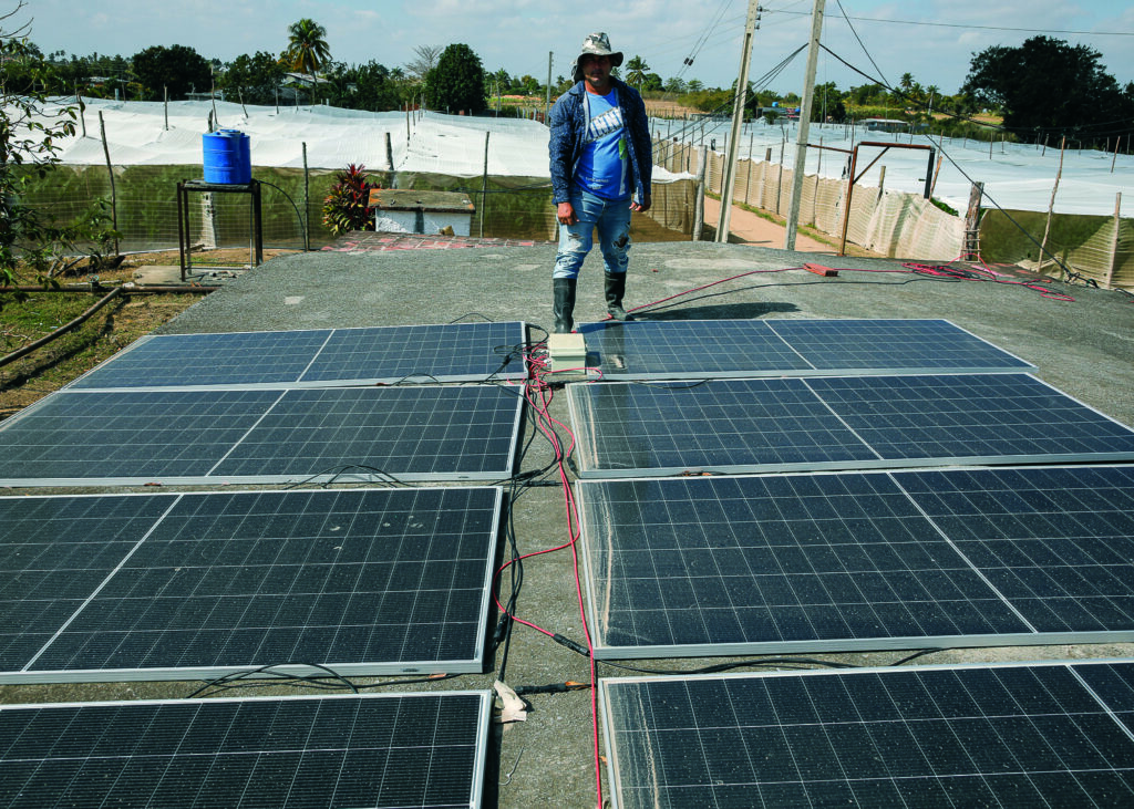 Paneles_solares_que_ayudan_a_Eduardo_con_su_producción
