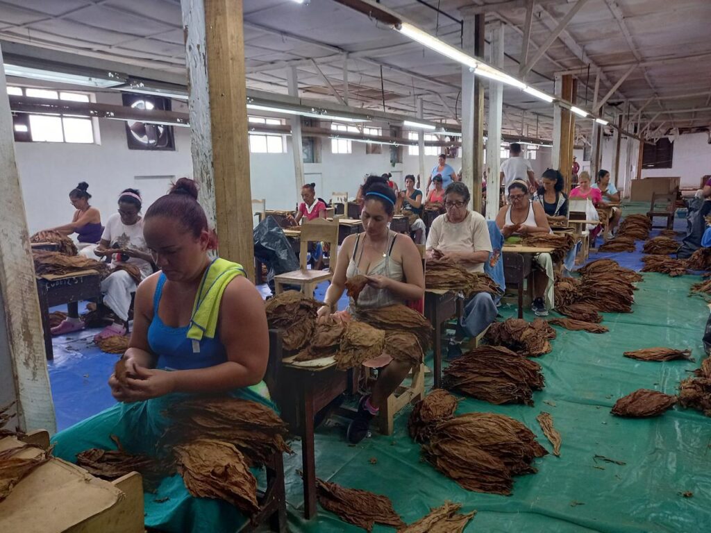 Las mujeres de estos tiempos