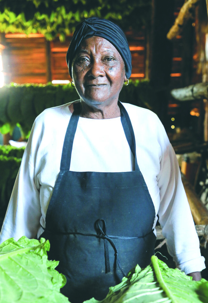 Angelina Pacheco, toda una enciclopedia del tabaco