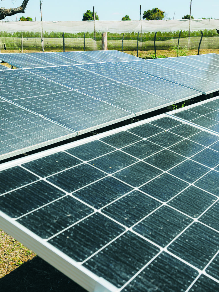 El sistema fotovoltaico  y el pozo le permiten regar en dos días, lo que antes hacía en 10