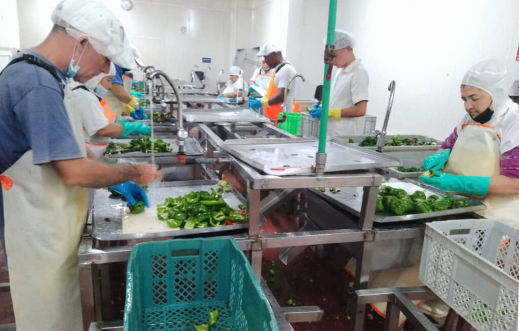 Adecuarse al contexto permitió preservan la fuerza laboral y utilizar las capacidades industriales instaladas Fotos cortesía de Yamilé Cabrera García