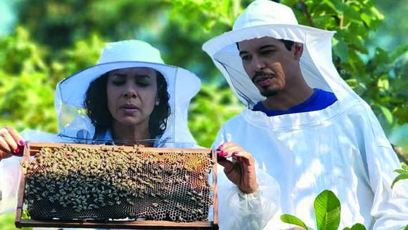 Vientos de primavera para una telenovela