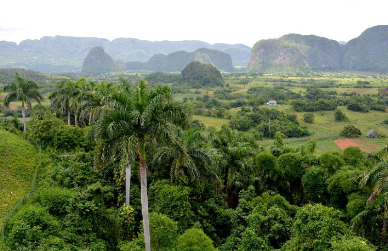 Bitácora de viaje. Pinar del Río día dos