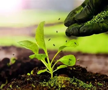 Tecnología en función de la producción de alimentos en Pinar del Río Biofábricas