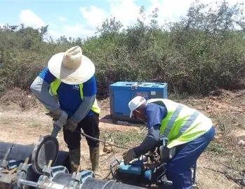 Analiza Buró Provincial del Partido programas forestal e hidráulico en Pinar del Río