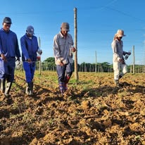Evalúa pleno municipal del Partido impacto de trasformaciones económicas en Consolación del Sur